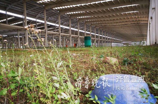 荣成康得碳谷500天浮沉记：百亿项目开工一年后停摆