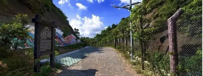 深圳最适合一日游的35个免费景点，拍照、赏花、踏青统统都有！