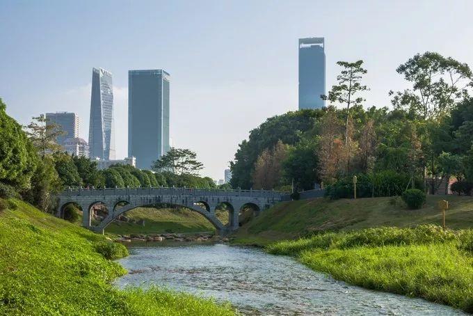 深圳最适合一日游的35个免费景点，拍照、赏花、踏青统统都有！