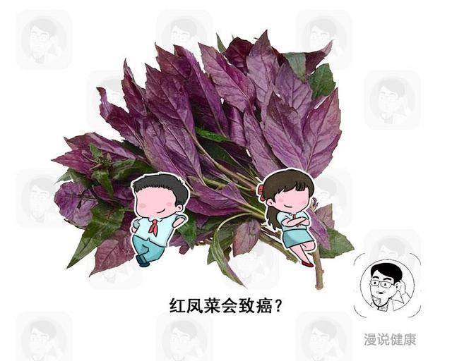 4种蔬菜被世卫组织列进“致癌名单”？医生辟谣：这2种还真不好说