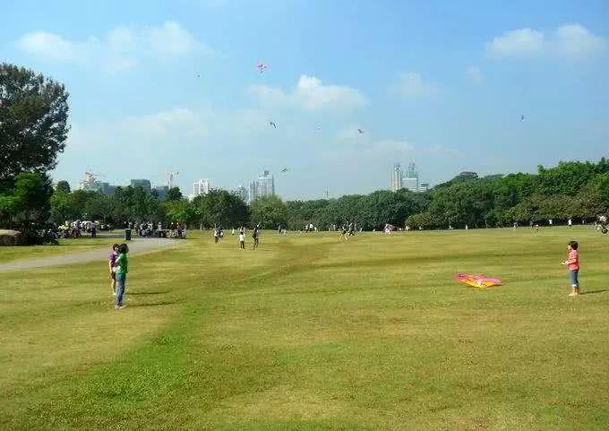 深圳最适合一日游的35个免费景点，拍照、赏花、踏青统统都有！