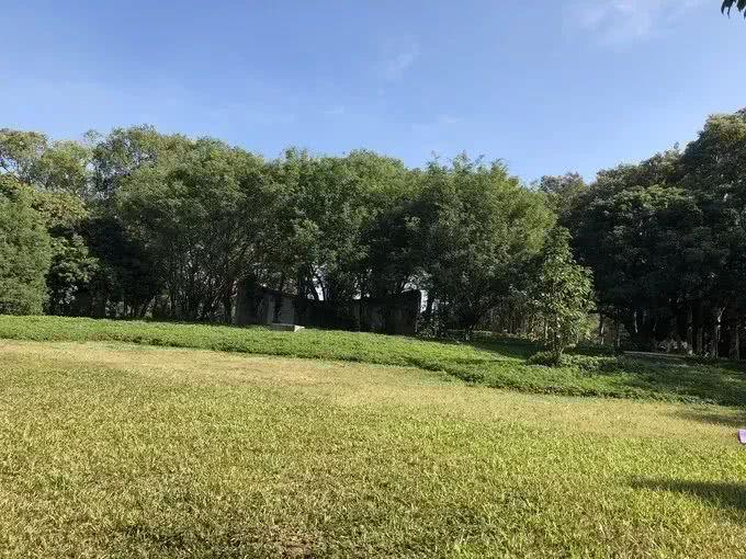 深圳最适合一日游的35个免费景点，拍照、赏花、踏青统统都有！