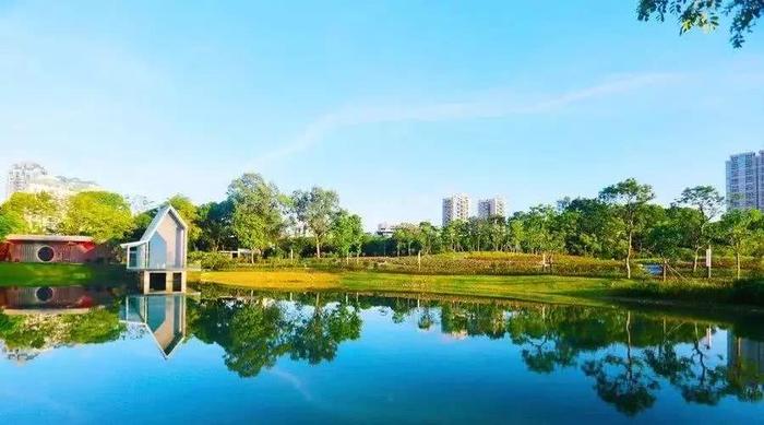 深圳最适合一日游的35个免费景点，拍照、赏花、踏青统统都有！