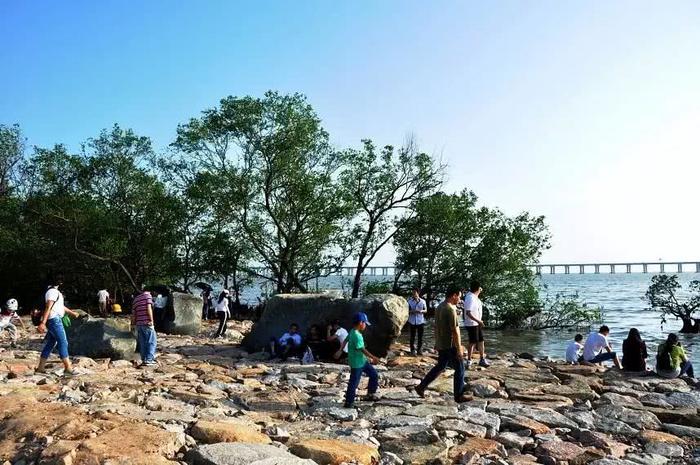 深圳最适合一日游的35个免费景点，拍照、赏花、踏青统统都有！