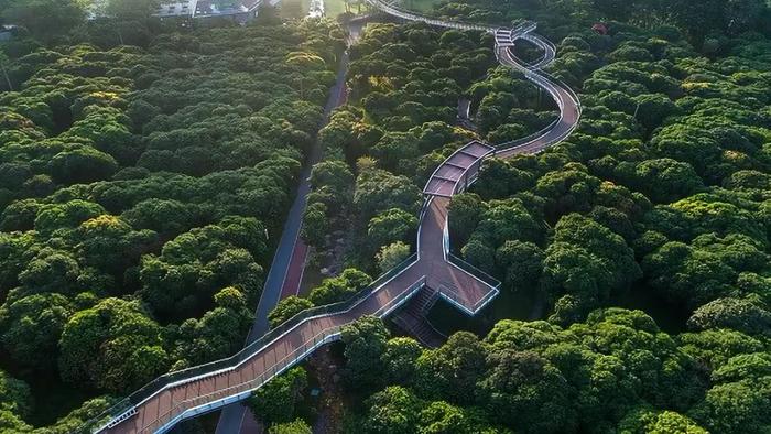 深圳最适合一日游的35个免费景点，拍照、赏花、踏青统统都有！