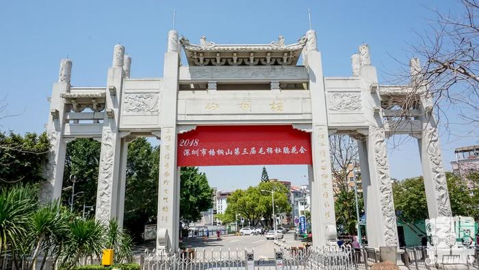 深圳最适合一日游的35个免费景点，拍照、赏花、踏青统统都有！