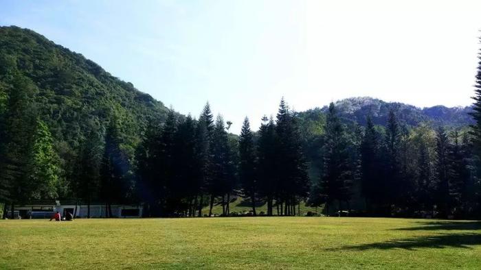 深圳最适合一日游的35个免费景点，拍照、赏花、踏青统统都有！