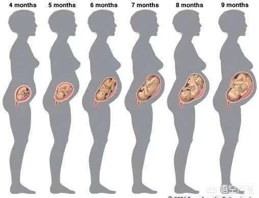 怀孕5个月肚子有这么大，5个月胎儿本领大，对照一下达标了吗？