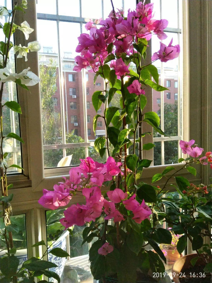 500块钱不限次数的超值消费指南