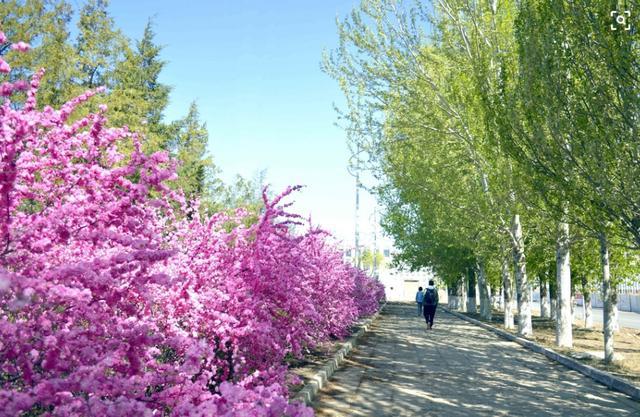 歌咏春夏秋冬的诗词，春花秋月，夏夜冬雪，四季美景尽在诗中