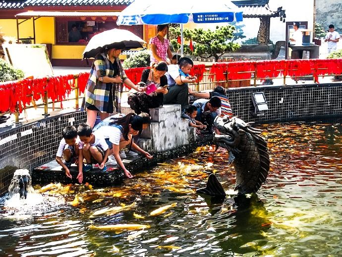 上海最有气派的一座寺庙东林寺，拥有三项大世界吉尼斯纪录