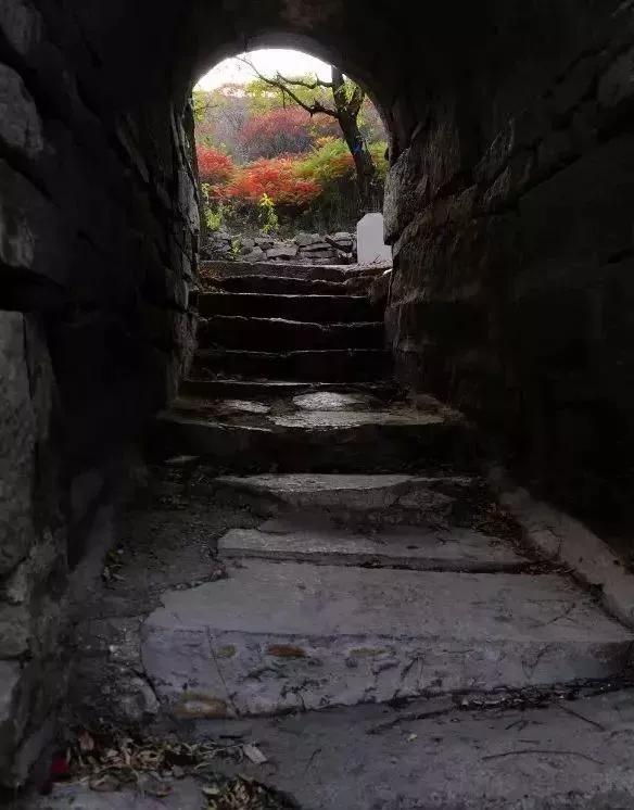 来临淄旅游，这十个免费游玩的景点一定要收藏一下