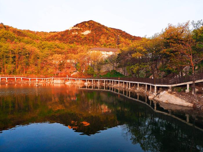 山东沂蒙山不是一座山，龟蒙山却有龟，来过的人都知道，此言不假