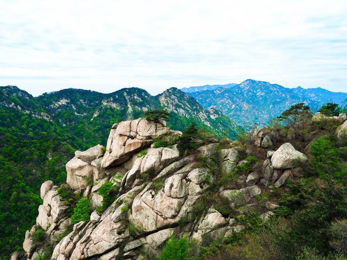 山东沂蒙山不是一座山，龟蒙山却有龟，来过的人都知道，此言不假