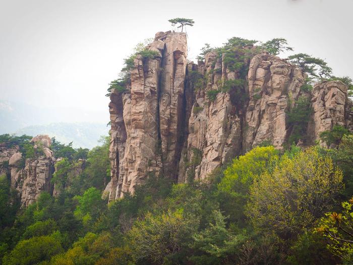 山东沂蒙山不是一座山，龟蒙山却有龟，来过的人都知道，此言不假