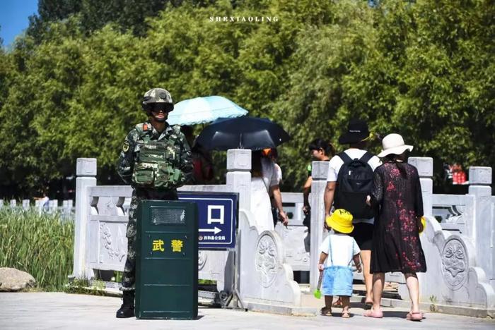 摄影 | 中国陇南西和乞巧节