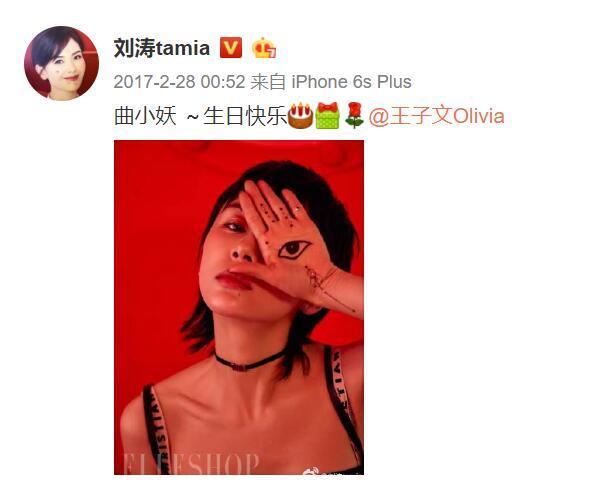 王子文生日只有刘涛连续4年送上祝福，欢乐颂五美的友谊崩掉仨？