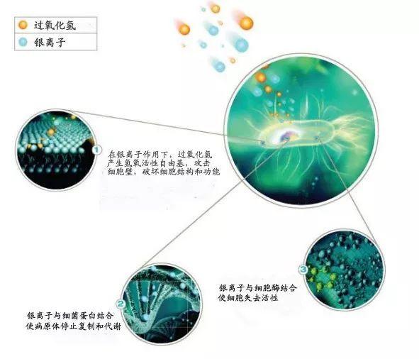 汽化过氧化氢银离子的灭菌技术与原理分析