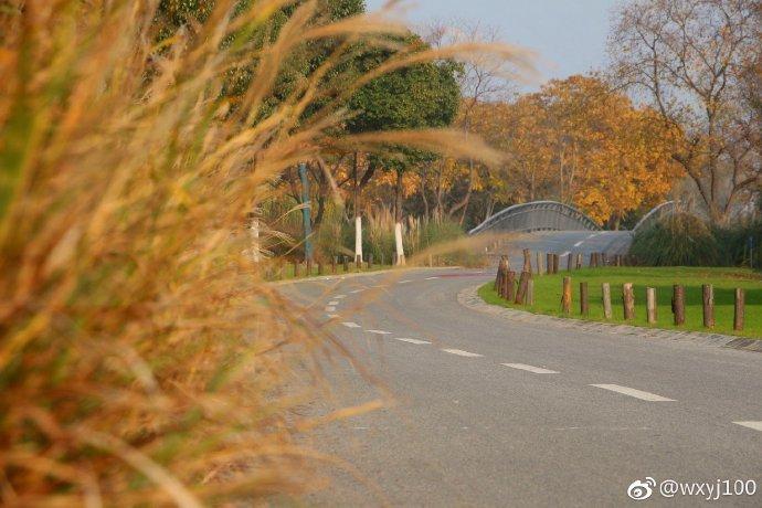 这个时节去无锡贡湖湾，仿佛人在画中行