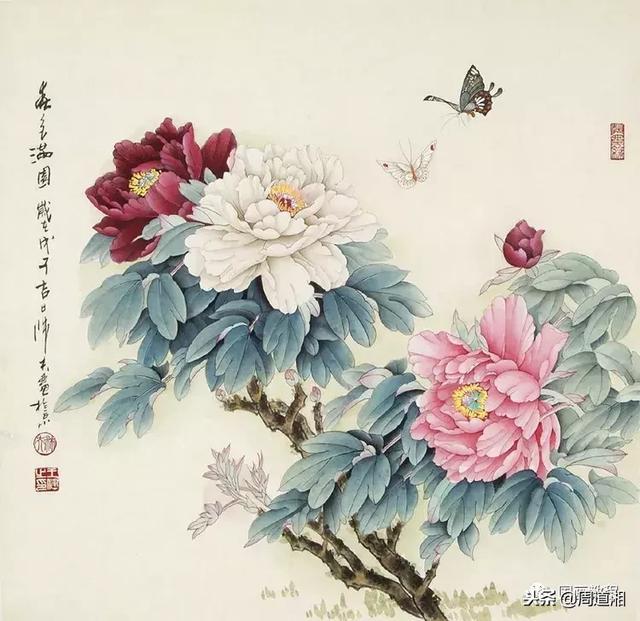 国色天香——中国国画牡丹百图