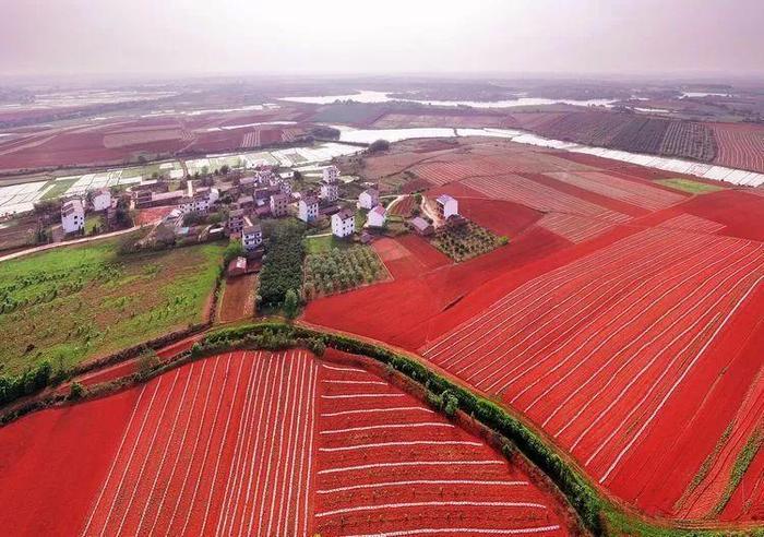 江西宜春有片红土地很美，看到图片就想去！