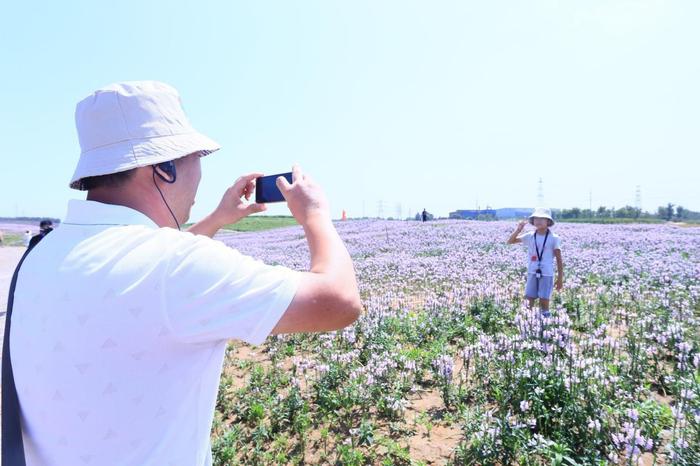 看美景、品美食、逛公园，房车大会车友“做一天唐山人”