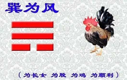 易经阳宅风水365 三分钟看八卦图，通晓阴阳乾坤五行生克制化！