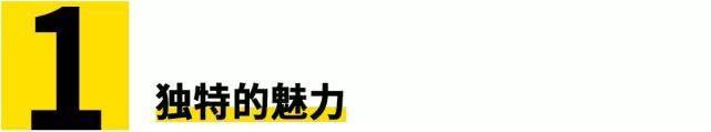 一台捷豹没有了声音会是怎样？