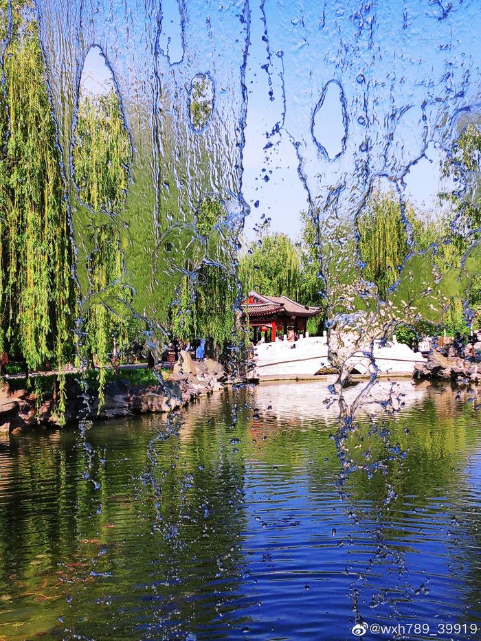 见景就拍