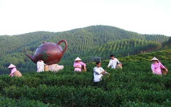 潮汕三市旅游景点全在这里了，别再说不知道去哪里玩！