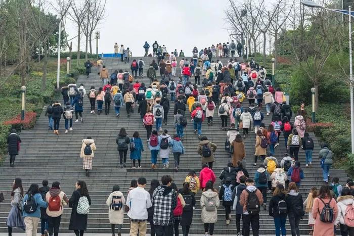 四川外国语大学本科生去哪儿了？就业率95.6%，1/4月薪5000元+