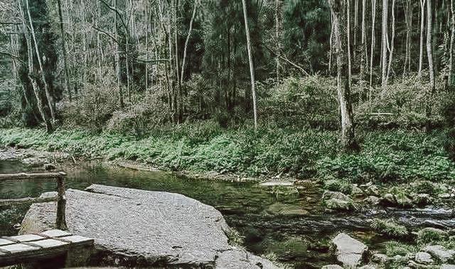 张家界自助游旅游攻略，衣食住行看到醉美张家界