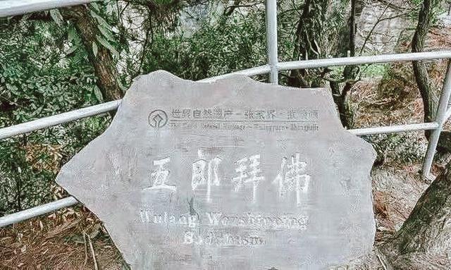 张家界自助游旅游攻略，衣食住行看到醉美张家界