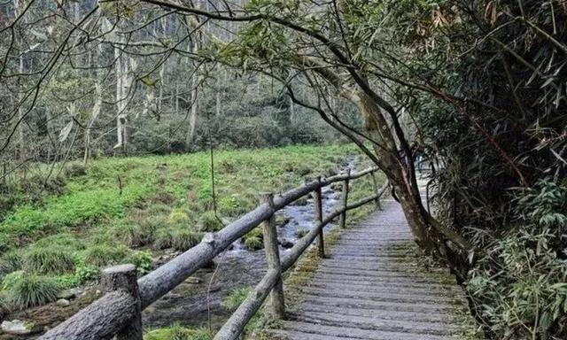 张家界自助游旅游攻略，衣食住行看到醉美张家界