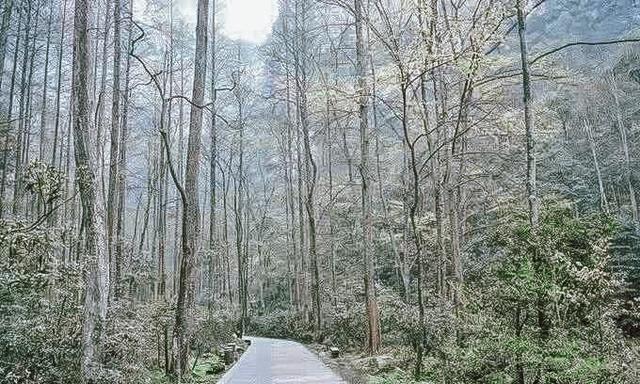 张家界自助游旅游攻略，衣食住行看到醉美张家界