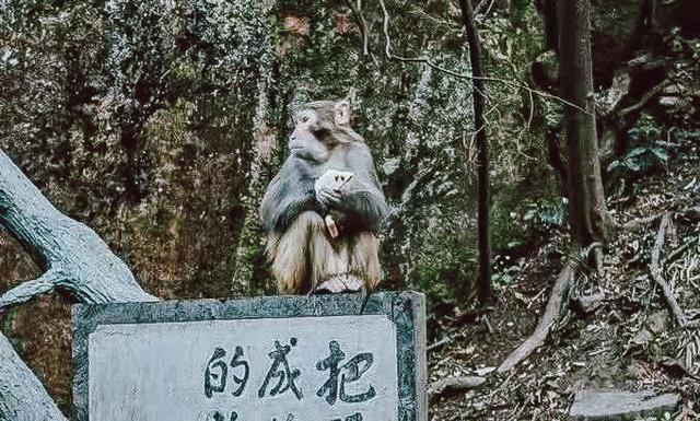 张家界自助游旅游攻略，衣食住行看到醉美张家界