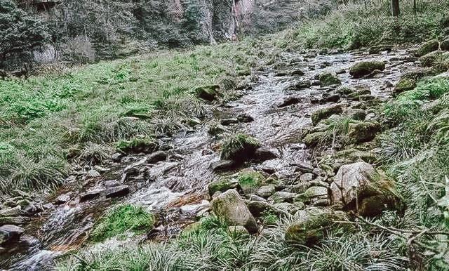 张家界自助游旅游攻略，衣食住行看到醉美张家界