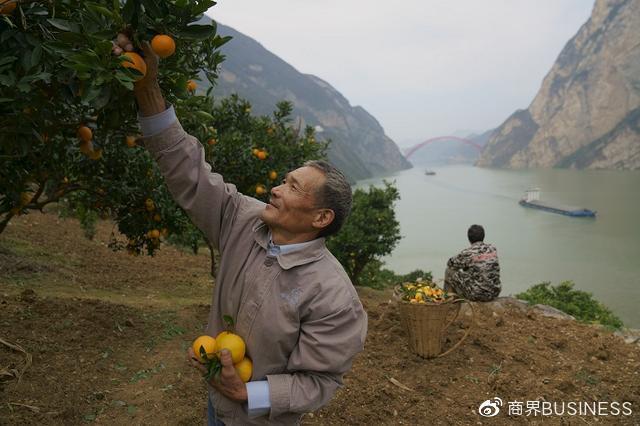 三峡移民旧照：22年前，板车上的3000公里和5万棵树