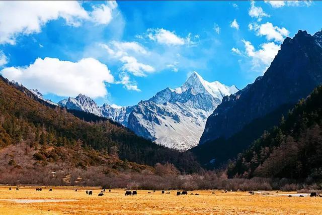 中国最美旅居路线，一路车行一路景，有生之年一定去一趟