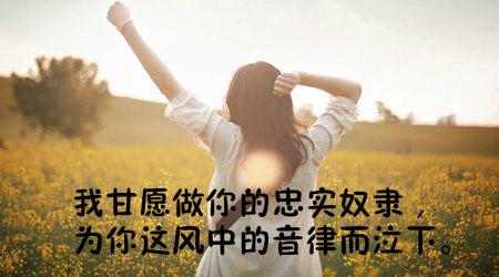 历史上10万欧洲骑士对抗6万蒙古骑兵，两天后剩千人，是真的吗