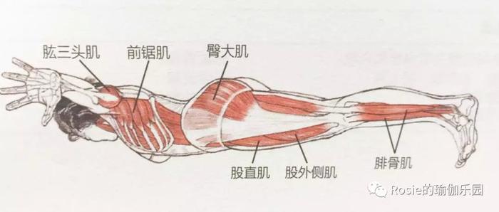 下背部僵紧，脊柱侧弯，怎么调理？运动量大、久站，膝盖疼？每周20问