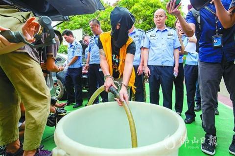 30多秒偷油上百升！佛山公安揪出一批“油老鼠”