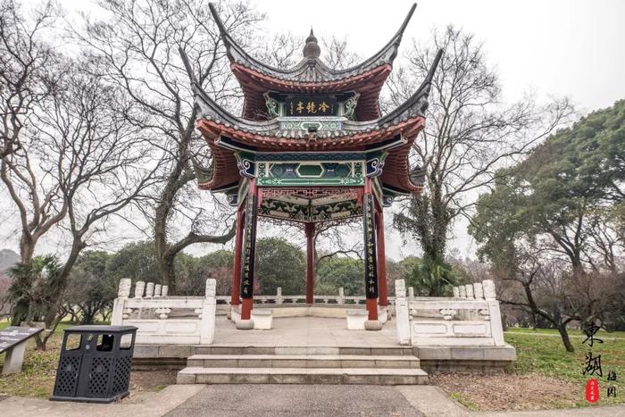 武汉人的新年赏梅根据地，和家人来东湖梅园团聚祈福闹新春！