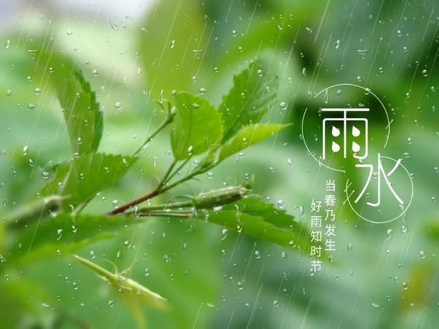 雨水时节，读读那些经典的雨水诗