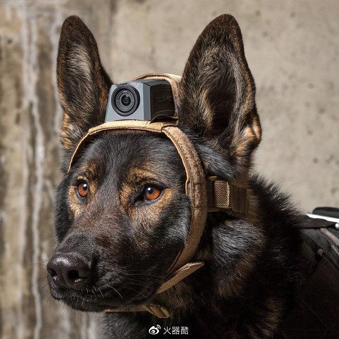【战术大眼睛】MOHOC 军警专用摄像头美图欣赏