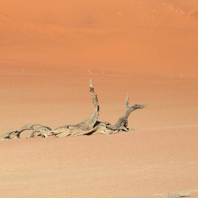 纳米比亚红沙漠是世界最古老沙漠，著名的死亡谷也在其中