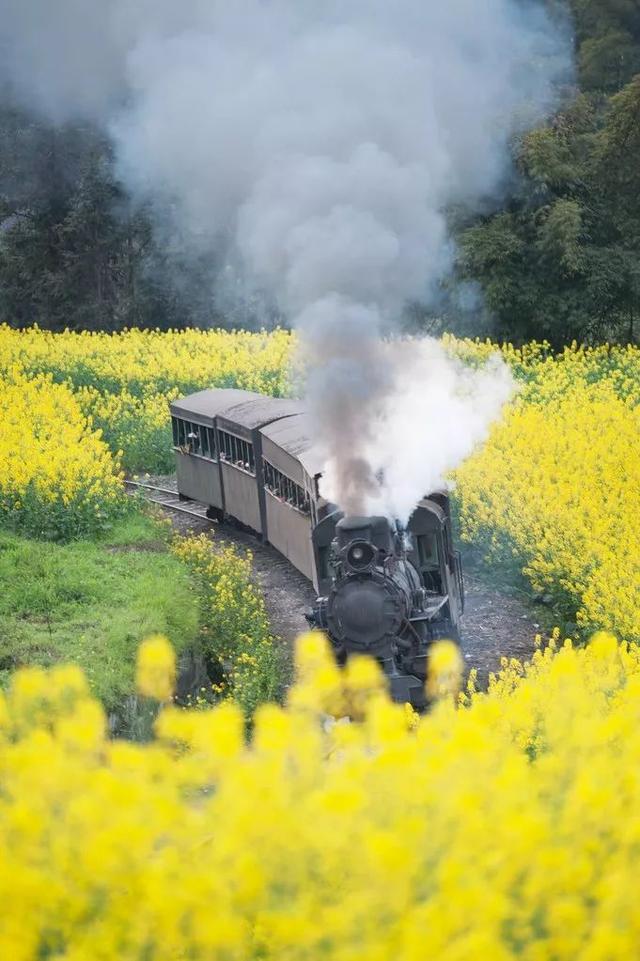 2月去哪儿？最适合冬末春初前往的地方，绝不能错过