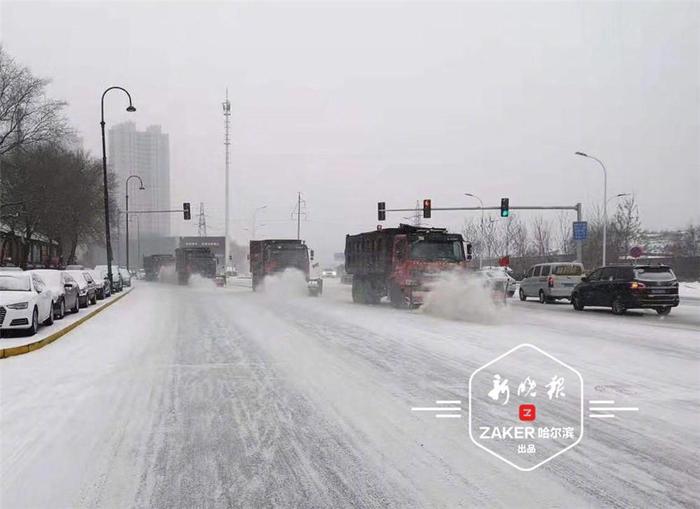 冰城又飘雪，就是你想要的童话世界！清冰雪ing~