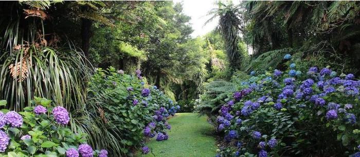 塔拉纳基拥有近乎新西兰1/4的花园，究竟凭什么？
