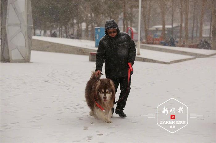 冰城又飘雪，就是你想要的童话世界！清冰雪ing~